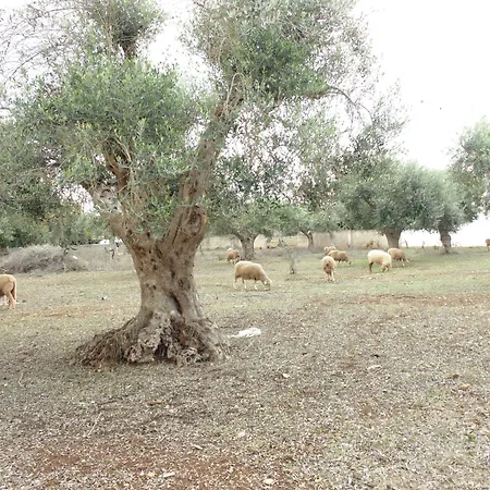 Welcome To Couette-café 3*